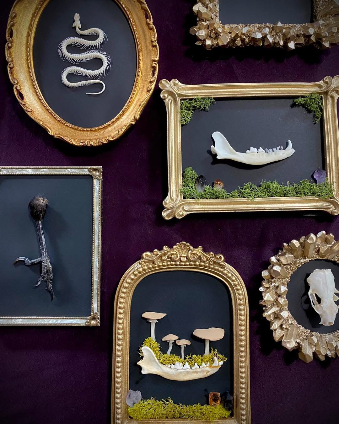 Oddities & Curiosities