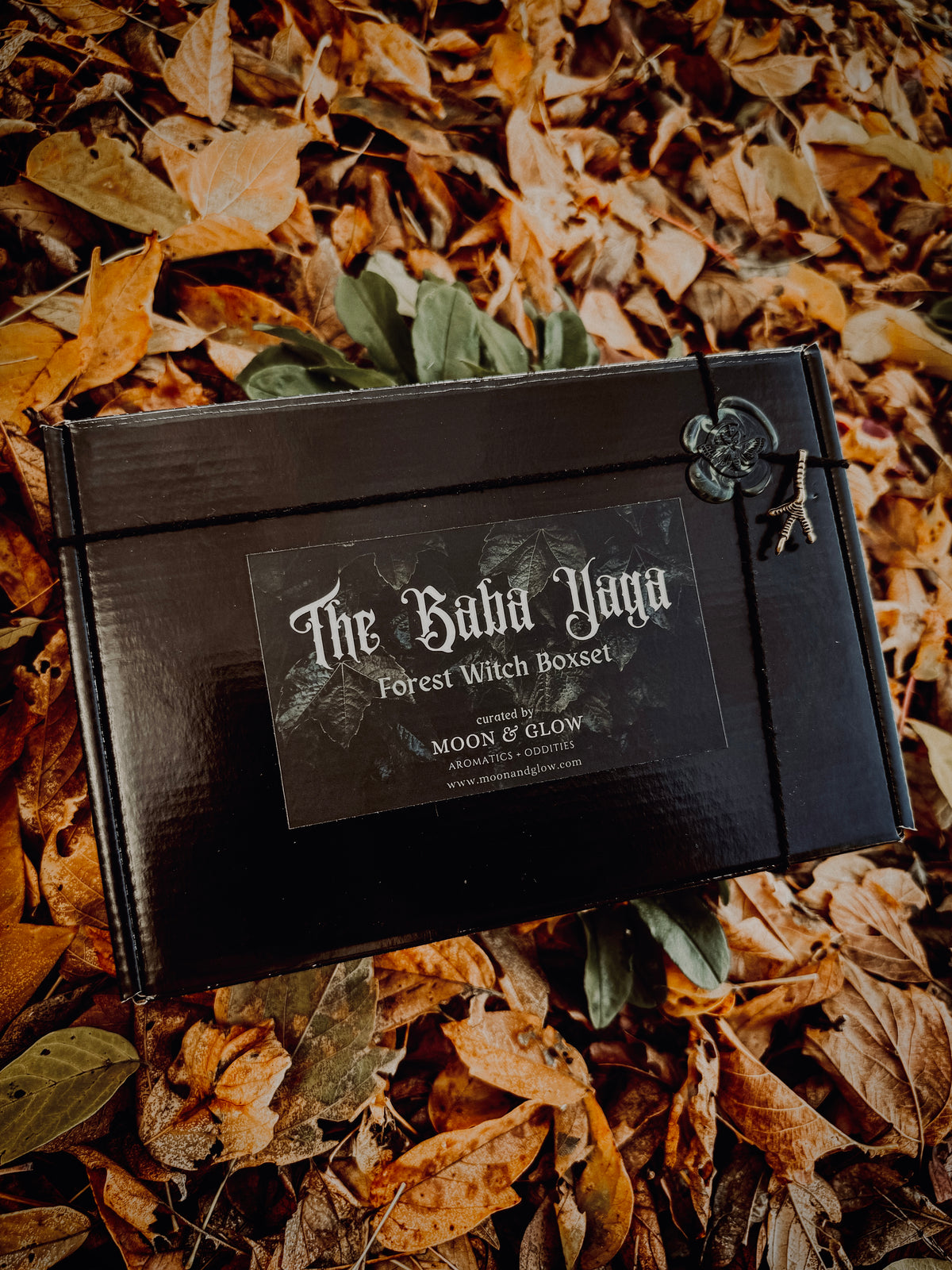 The Baba Yaga - Forest Witch Boxset