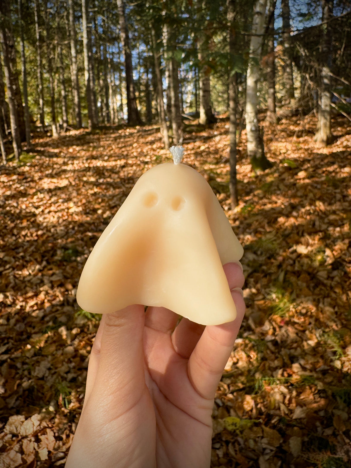 Gregory the Ghost & the Peculiar Pumpkin